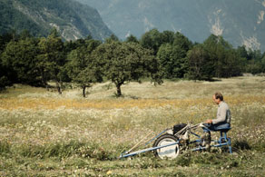 Ena osnovnih idej turizma na kmetiji je bila, da se goste vključuje tudi v vsakdanja kmečka opravila. Oboji, tako kmetje kot turisti, pa so kaj hitro spoznali, da je tovrstno počitniško dejavnost v praksi zelo težko izvajati. (Arhiv Tolminskega muzeja)