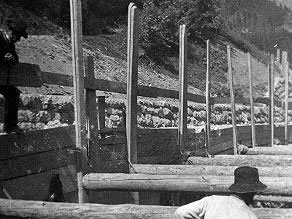A strong wooden retaining structure that helped builders fortify and build the railroad embankment. A strong wooden retaining structure that helped builders fortify and build the railroad embankment.